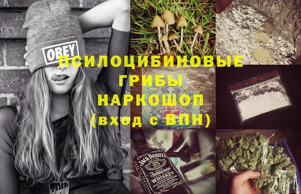 apvp Калининец