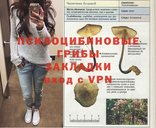a pvp Елабуга
