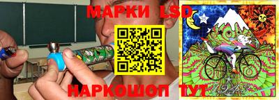 индика Дубна