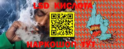 спиды Донской
