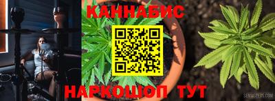 индика Дубна