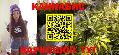 индика Дубна