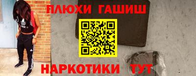 индика Дубна
