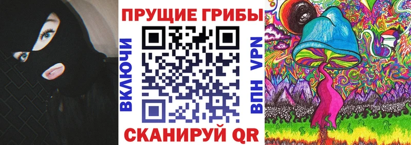 Псилоцибиновые грибы Magic Shrooms  Зеленогорск 