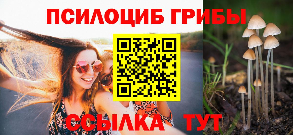Галлюциногенные грибы GOLDEN TEACHER  Вход с VPN  Зеленогорск 