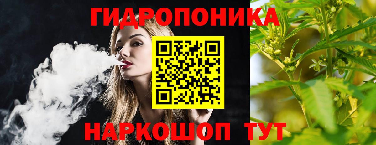 Шишки марихуана сатива Зеленогорск